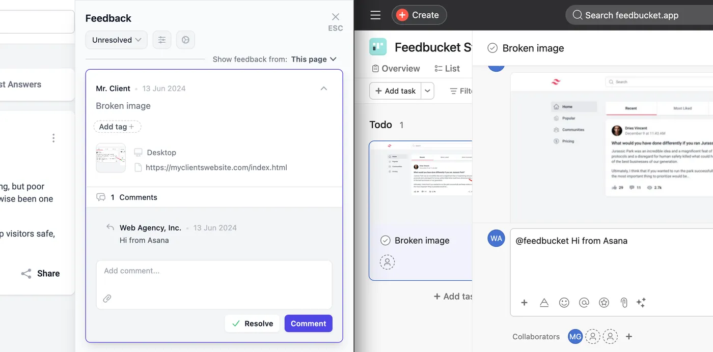 Ability to send a comment from Asana to Feedbucket.